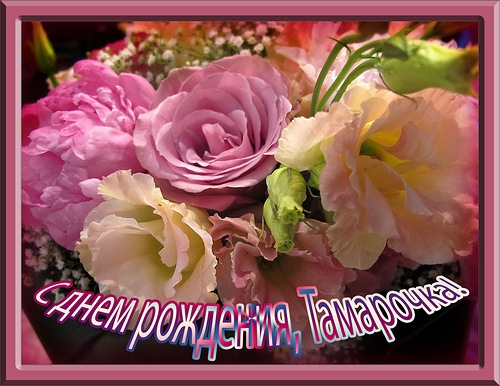 Красивые открытки с именем Тамара. Открытки с именем Тома скачать бесплатно.