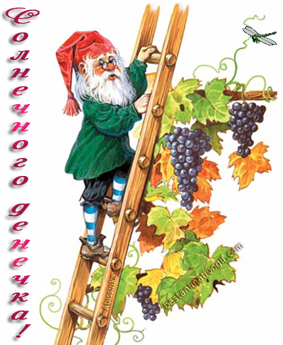 Открытки с гномами скачать бесплатно. Открытки с гномами gif.