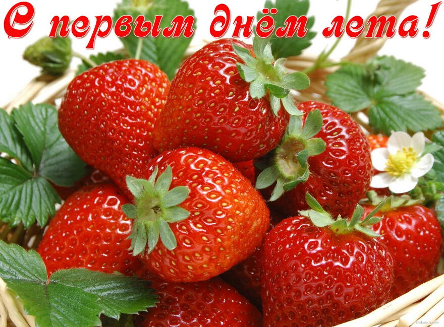 Открытки с первым днём лета скачать. Открытки с первым днём лета бесплатно.