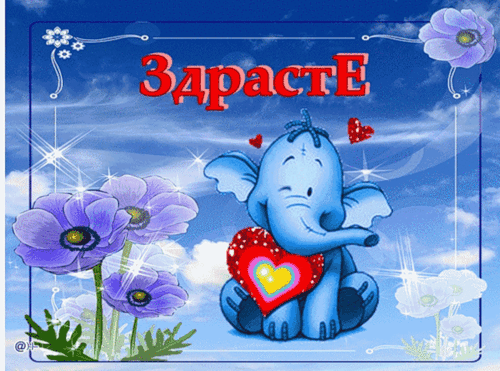 Открытки со слонами gif. Бесплатные открытки со слонами скачатью