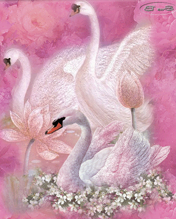 Открытки с лебедями скачать. Открытки с лебедями бесплатно. 