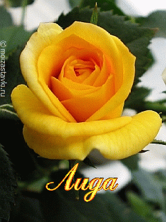 Открытки с именем Лидия скачать бесплатно. Открытки с именем Лидия gif.