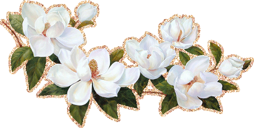 Открытки с цветами жасмина скачать. Открытки с цветами жасмина анимационные.