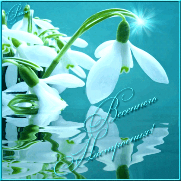 Открытки весна скачать бесплатно. Анимационные открытки весна.