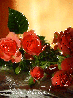 Открытки с красными розами скачать. Открытки с красными розами с пожеланиями.