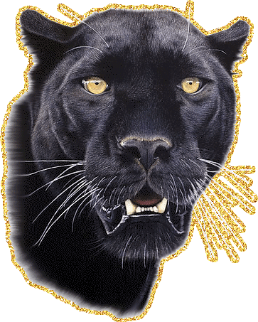 Открытки с пантерой скачать бесплатно. Открытки с пантерой gif.