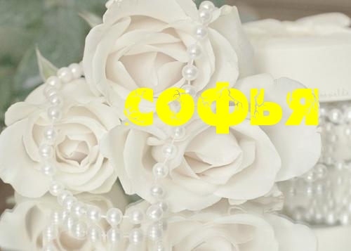 Открытки с именем София скачать бесплатно. Открытки с именем София с поздравл...