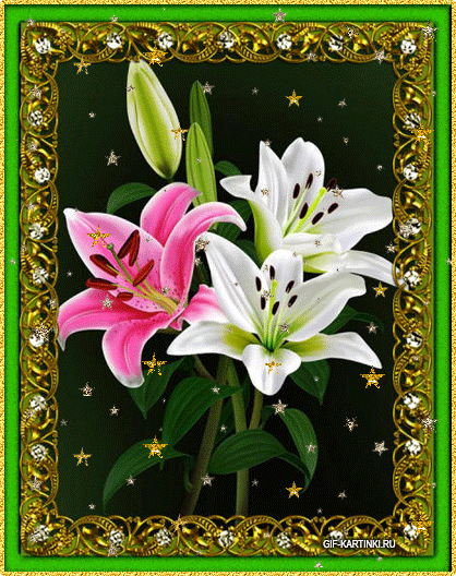 Открытки с лилейниками анимационные. Открытки с лилейниками gif.