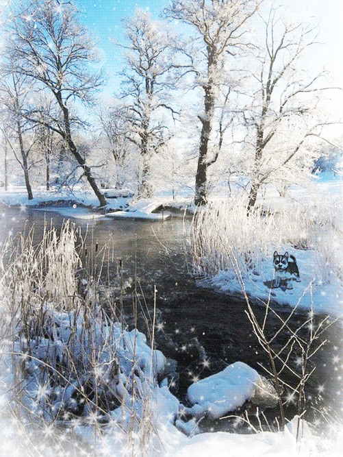 Открытки с зимней природой скачать бесплатно. Открытки с зимней природой онлайн.