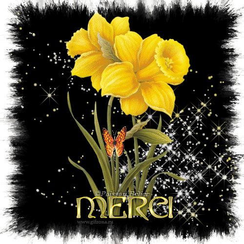 Открытки с желтыми нарциссами скачать бесплатно. Открытки с желтыми нарциссам...