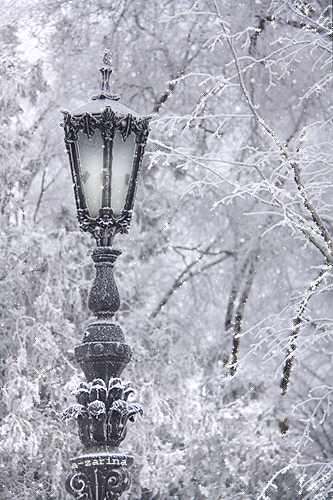 Открытки с зимним лесом скачать бесплатно. Открытки с зимним лесом gif.