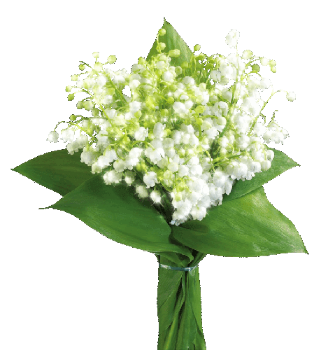 Открытки с ландышами скачать. Открытки с ландышами онлайн бесплатно.