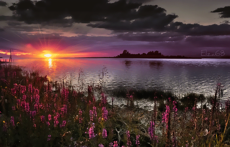 Открытки с озёрами с анимациями. Открытки с озёрами скачать.