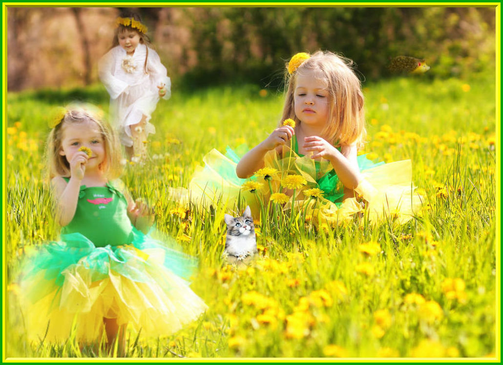 Открытки с желтыми одуванчиками скачать бесплатно. Открытки с желтыми одуванч...