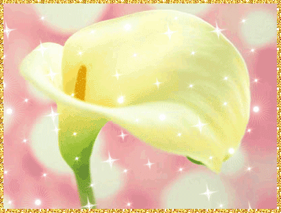 Открытки с каллами скачать бесплатно. Открытки с каллами онлайн.