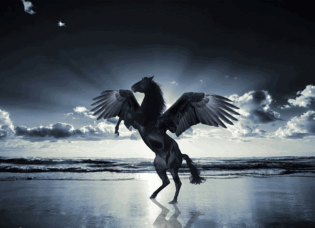 Открытки с пегасом скачать бесплатно. анимационные Открытки с пегасом.