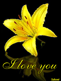 Открытки с желтыми лилиями gif. Открытки с желтыми лилиями скачать.