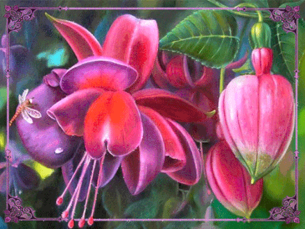 Анимационные открытки с фуксией. Открытки с фуксией скачать бесплатно.