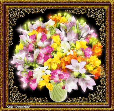 Открытки с альстромериями анимационные. Открытки с альстромериями скачать.