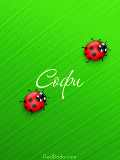 Открытки с именем София скачать бесплатно. Открытки с именем София с поздравл...