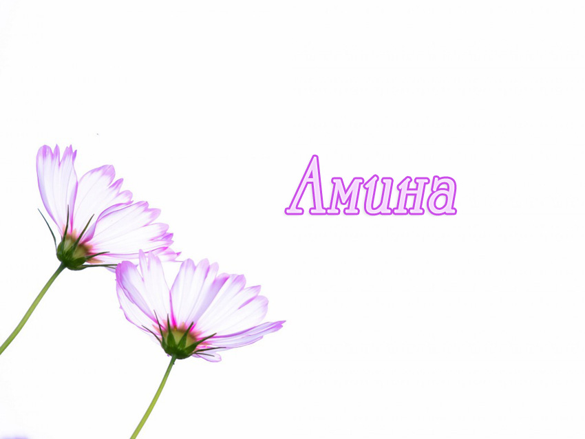 С днем рождения анора картинки