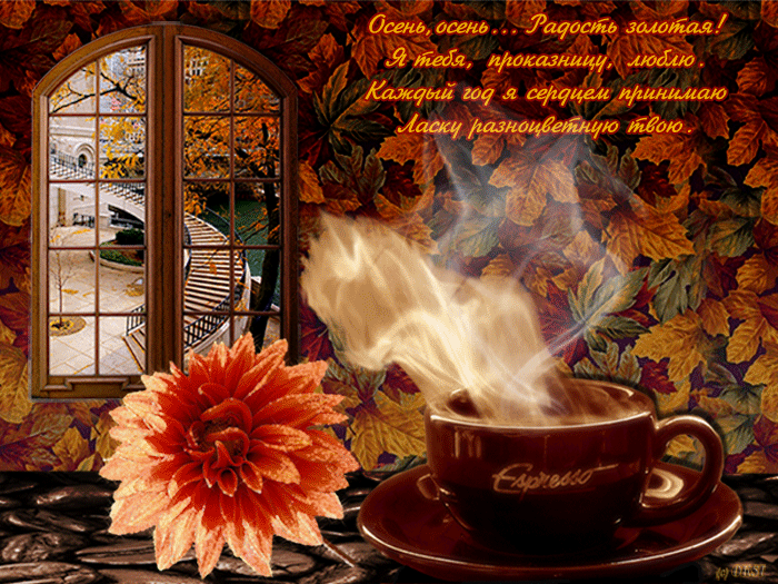Открытки Золотая осень скачать бесплатно. Открытки Золотая осень gif.
