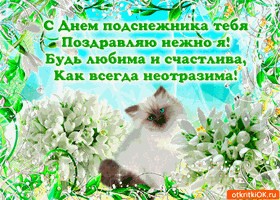 Открытки с днём подснежника gif. Открытки с днём подснежника скачать.