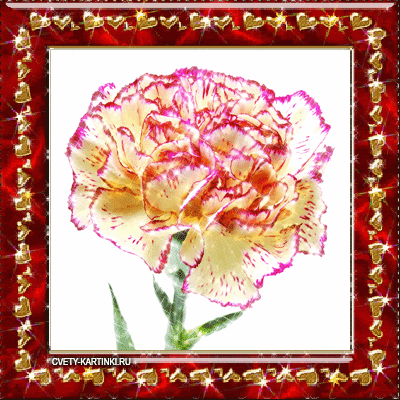 Открытки с гвоздиками скачать. Открытки с гвоздиками онлайн.