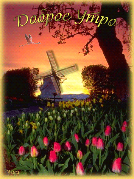 Открытки с мельницами скачать бесплатно. Открытки с мельницами онлайн бесплатно.