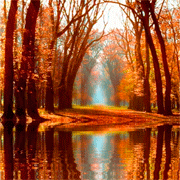 Открытки с осенним лесом скачать. Открытки с осенним лесом бесплатно.