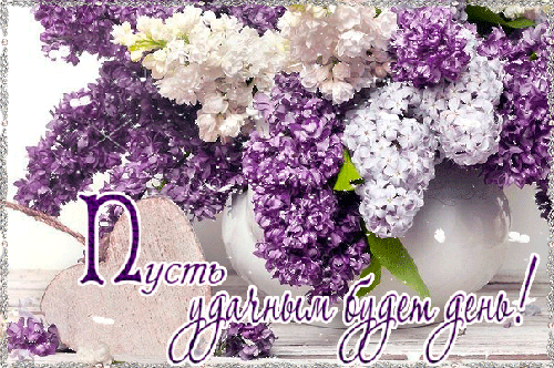 Открытки с букетом сирени скачать бесплатно. Открытки с букетом сирени онлайн. 