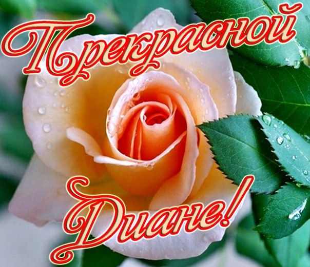 Открытки с именем Диана с поздравлениями. Скачать бесплатно открытки с именем...
