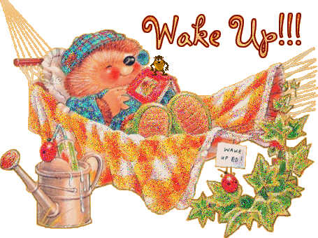 Скачать бесплатно открытки с ёжиками. Открытки с ёжиками gif.