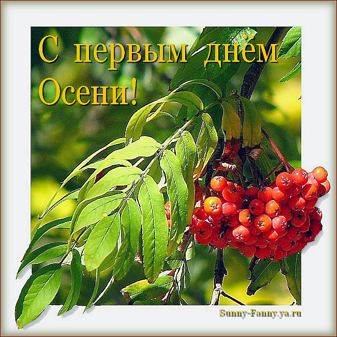 Открытки с первым днём осени скачать бесплатно. Красивые Открытки с первым дн...