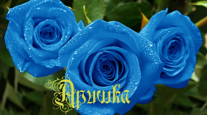 Открытки с именем Арина скачать бесплатно. С днём рождения Арина открытки.