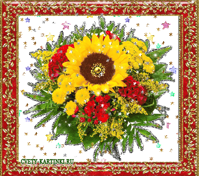 Открытки с подсолнухами скачать бесплатно. Открытки с подсолнухами gif.