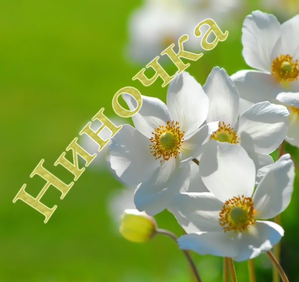 Открытки с именем Нина скачать бесплатно. Открытки с именем Нина с днём рожде...