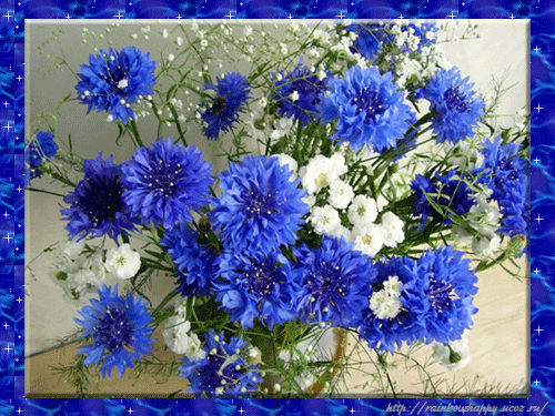 Открытки с букетом васильков скачать бесплатно. Открытки с букетом васильков ...