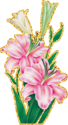 Открытки с розовыми лилиями скачать бесплатно. Открытки с розовыми лилиями ан...