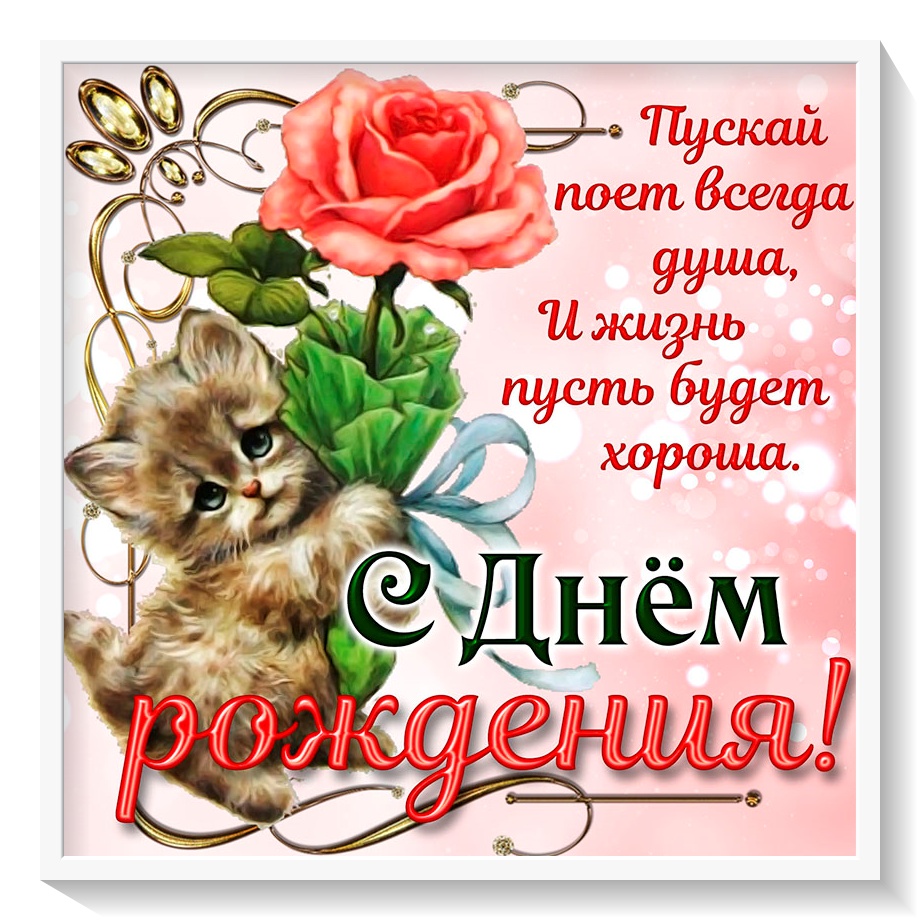 С днем рождения. открытка с котом. котик.