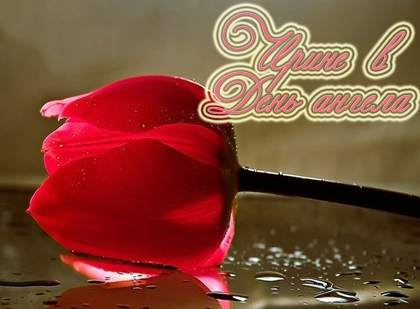 Открытки с именем Ирина скачать бесплатно. Поздравительные открытки с именем ...