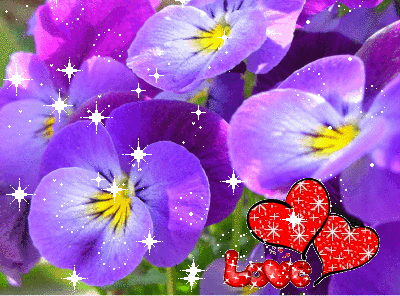 Открытки с фиолетовыми анютиными глазками скачать бесплатно.