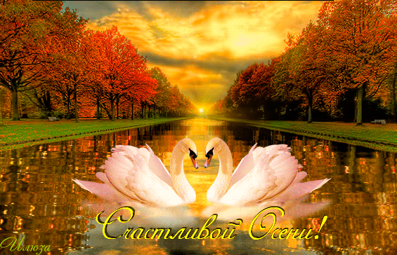 Открытки осень скачать бесплатно. Красивые открытки осень gif.