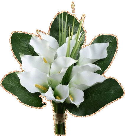 Открытки с каллами скачать бесплатно. Открытки с каллами онлайн.