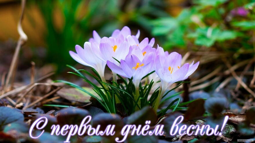Открытки с первым днём весны скачать бесплатно. Открытки с первым днём весны ...