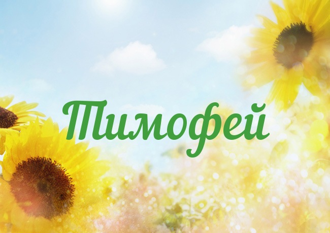 Открытки с именем Тимофей скачать бесплатно. Открытки с именем Тима скачать о...