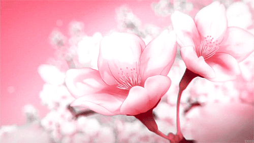 Открытки с лепестками цветов скачать бесплатно. Открытки с лепестками цветов ...