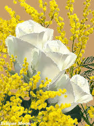 Открытки с мимозой скачать бесплатно. Открытки с мимозой онлайн.