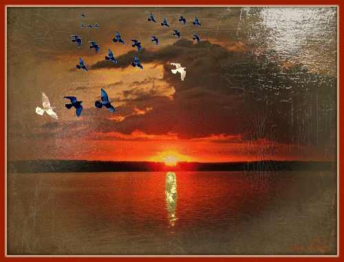 Открытки с парящими в небе птицами скачать бесплатно. Открытки с парящими в н...