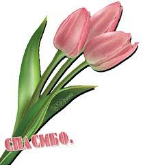 Нежные открытки с розовыми тюльпанами. Открытки с розовыми тюльпанами скачать.